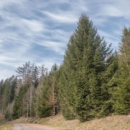 Schwarzwaldglueck Loft *