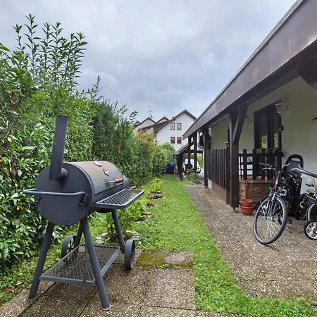 Schwarzwaldglueck Loft Appartement St. Blasien