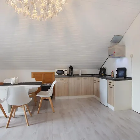 Schwarzwaldglueck Loft Апартаменты Санкт-Блазиен