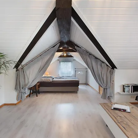 Schwarzwaldglueck Loft Апартаменты Санкт-Блазиен