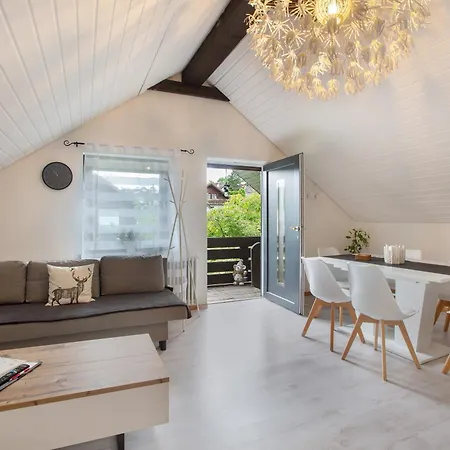 Schwarzwaldglück Loft St. Blasien