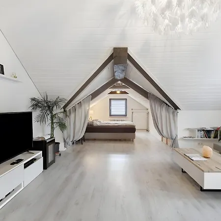Schwarzwaldglueck Loft * St. Blasien