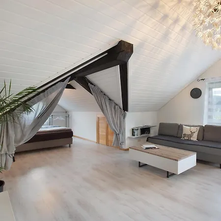 Appartement Schwarzwaldglueck Loft St. Blasien