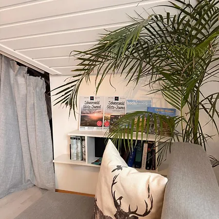 Schwarzwaldglueck Loft *