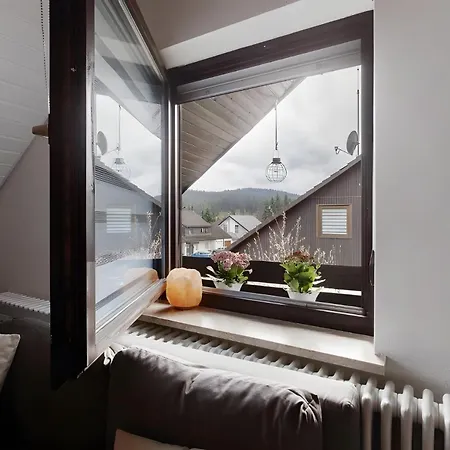 Lejlighed Schwarzwaldglueck Loft *