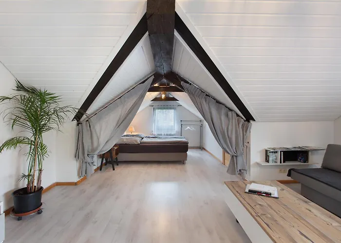 Schwarzwaldglueck Loft Appartement St. Blasien