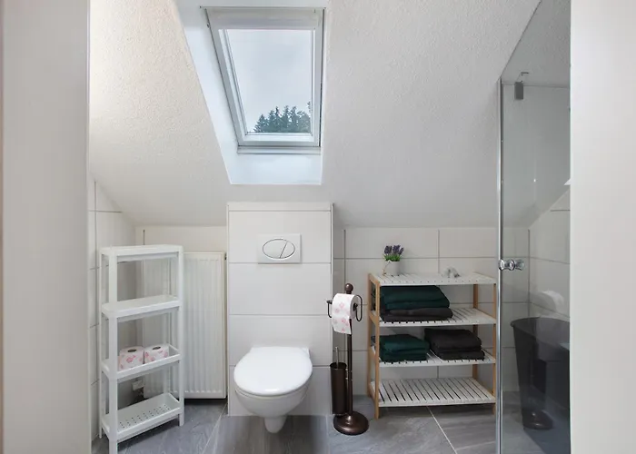 Schwarzwaldglueck Loft Appartement St. Blasien