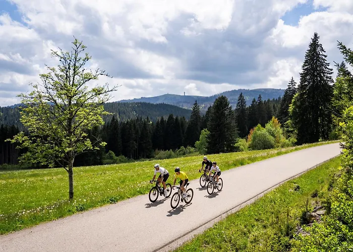 Schwarzwaldglück Loft St. Blasien