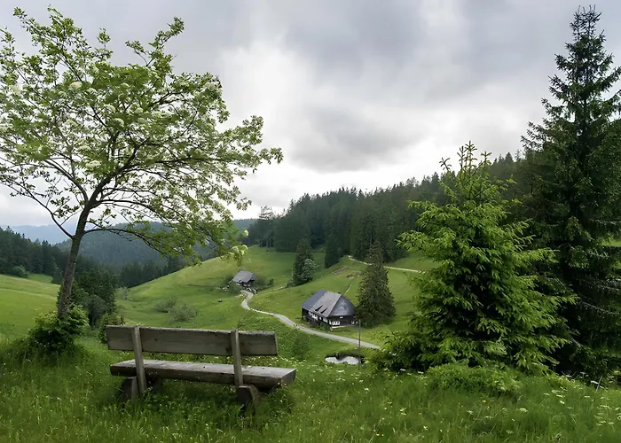 Schwarzwaldglück Loft Apartamento St. Blasien