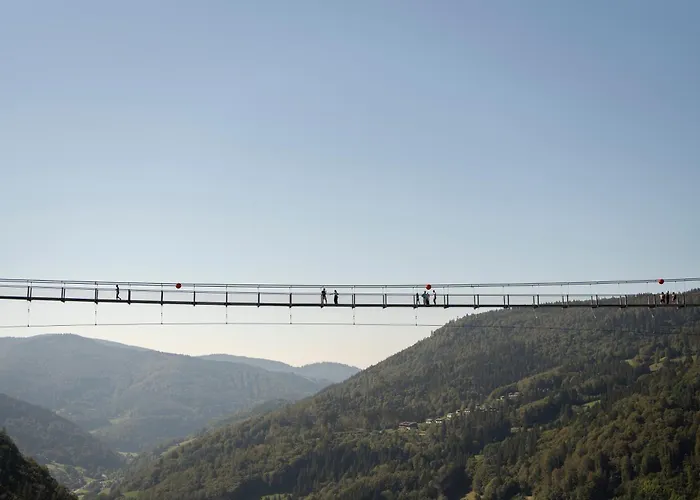 Apartamento Schwarzwaldglück Loft St. Blasien