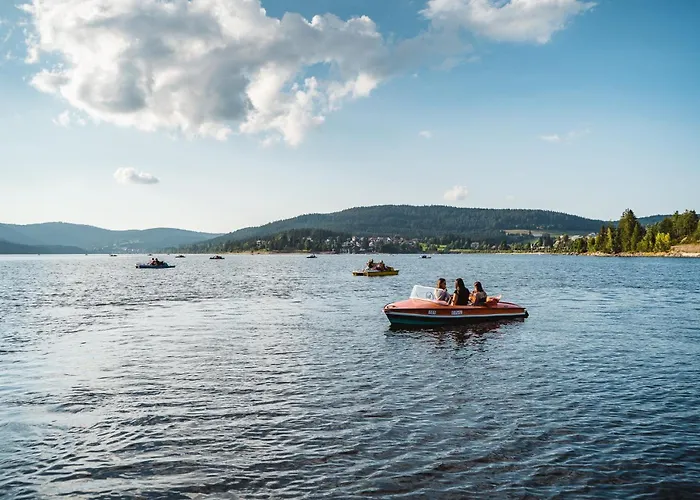 Apartamento Schwarzwaldglück Loft *