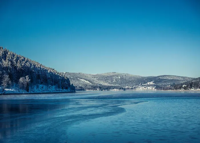 Schwarzwaldglück Loft Apartamento *