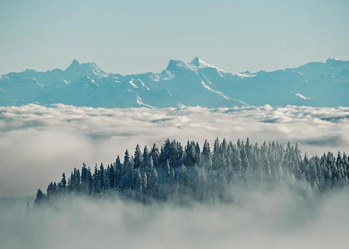 Schwarzwaldglück Loft