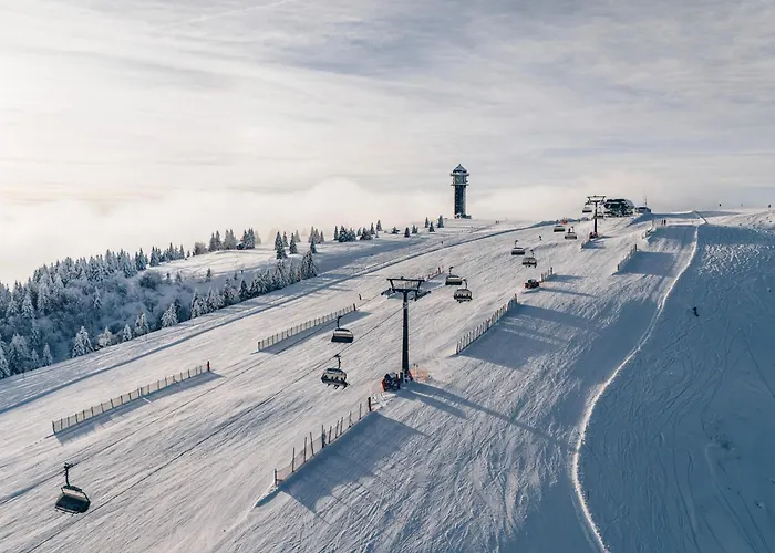 Schwarzwaldglück Loft * St. Blasien