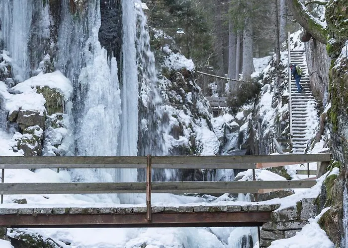 Apartamento Schwarzwaldglück Loft *